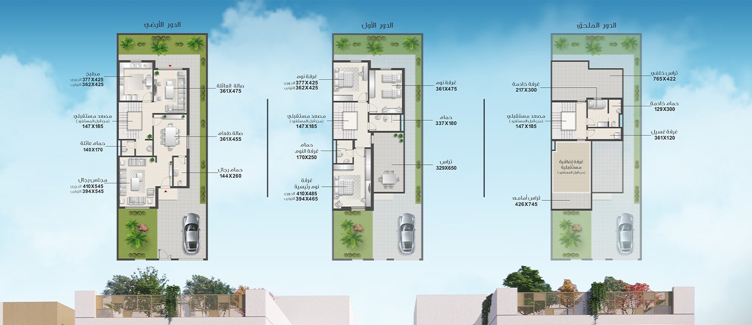 نموذج الجوري/التوليب